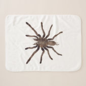 Sherpa Couverture Tarantula (Devant (Horizontal))