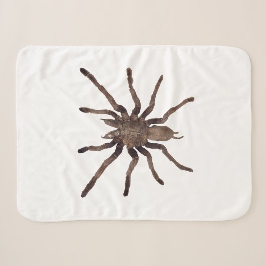 Sherpa Couverture Tarantula (Devant (Horizontal))