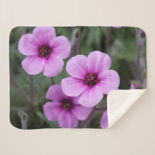 Sherpa Fleurs roses Couverture bébé Petite (Devant (Horizontal))