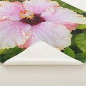 Sherpa Hibiscus - Couverture photo (3/4)