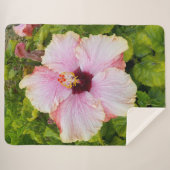Sherpa Hibiscus - Couverture photo (Devant (Horizontal))