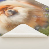 Sherpa Nouveau lien vers la grande couverture de Nava (3/4)