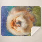 Sherpa Nouveau lien vers la grande couverture de Nava (Devant (Horizontal))