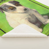 Sherpa Septembre 1906 Ladies Home Journal couverture chio (3/4)