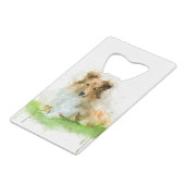 Shetland (Devant Angle)