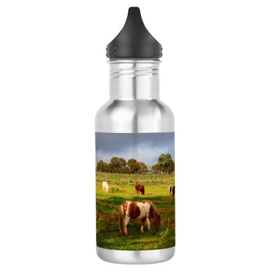 Shetland Ponies and Chestnut, 532 ml waterfles (Links)
