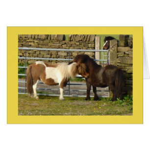 Shetland ponies card