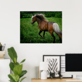 Shetland Pony 2 Poster (Thuiskantoor)