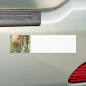 Shetland Pony Bumperstickers (Op auto)