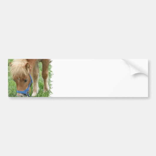 Shetland Pony Bumperstickers (Voorkant)