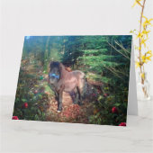 Shetland Pony - Carte de voeux (Fleur jaune)