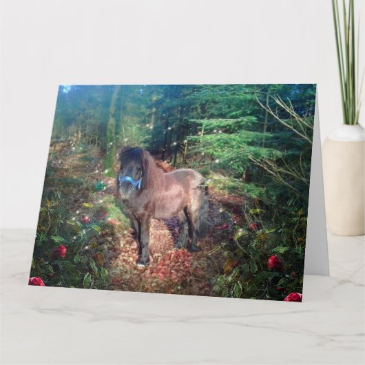 Shetland Pony - Carte de voeux (Devant)