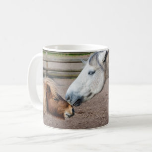 Shetland Pony en Highland Pony Mok