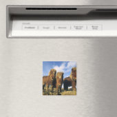 Shetland Pony, het vasteland van de Shetlandeiland Magneet (Insitu (Vaatwasser))