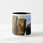 Shetland Pony, het vasteland van de Shetlandeiland Tweekleurige Koffiemok (Center)