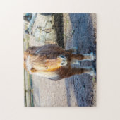 Shetland Pony Jigsaw puzzle (Vertical)