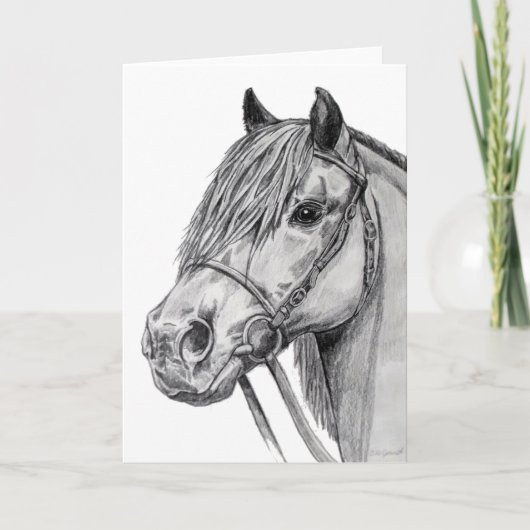 Shetland Pony Kaart (Voorkant)