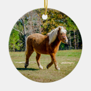  Shetland Pony Keramisch Ornament