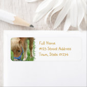 Shetland Pony Mailing Label (Insitu)