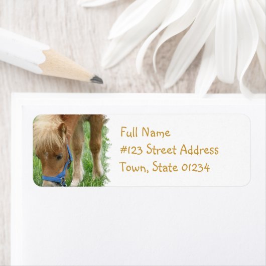 Shetland Pony Mailing Label (Insitu)