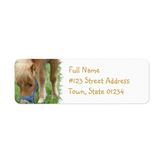 Shetland Pony Mailing Label (Voorkant)