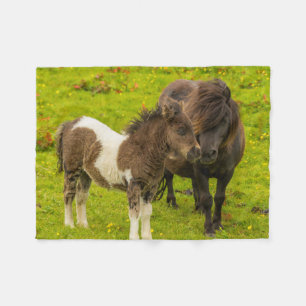 Shetland Pony moeder en nakomelingen Fleece Deken