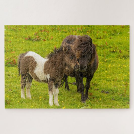 Shetland Pony moeder en nakomelingen Legpuzzel (Horizontaal)