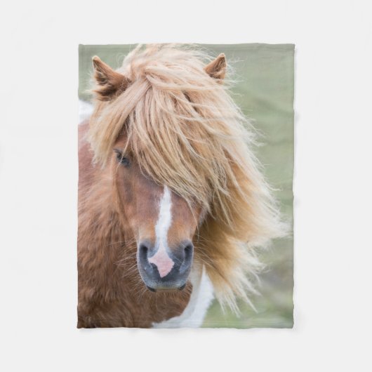 Shetland Pony op het eiland Unst Fleece Deken (Voorkant)