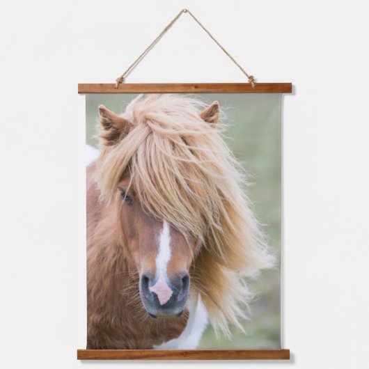 Shetland Pony op het eiland Unst Hangend Wandkleed (Voorkant)