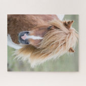 Shetland Pony op het eiland Unst Legpuzzel (Horizontaal)