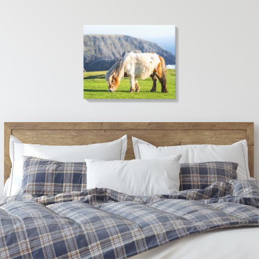 Shetland Pony op pasta nabij hoge cliënten Canvas Afdruk (Insitu (Slaapkamer))