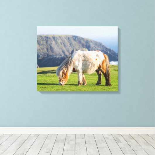 Shetland Pony op pasta nabij hoge cliënten Canvas Afdruk (Insitu (Houten vloer))