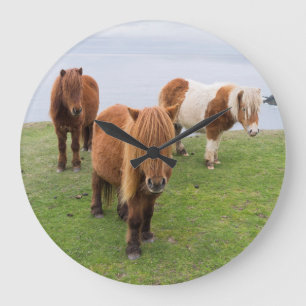 Shetland Pony op pasta nabij hoge cliënten Grote Klok