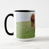 Shetland Pony op pasta nabij hoge cliënten Mok (Links)