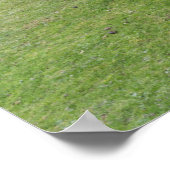 Shetland Pony op pasta nabij hoge cliënten Poster (Hoek)