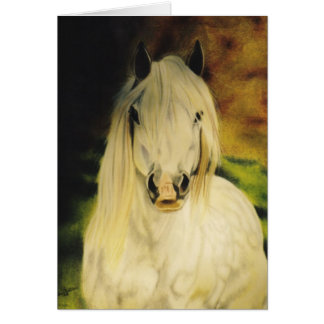 "Shetland Pony"-paardenkaart
