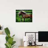Shetland Pony Poster (Thuiskantoor)