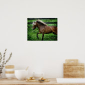 Shetland Pony Poster (Keuken)