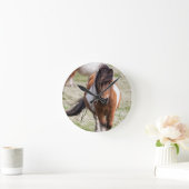 Shetland Pony, Shetland Islands, Schotland Ronde Klok (Huis)