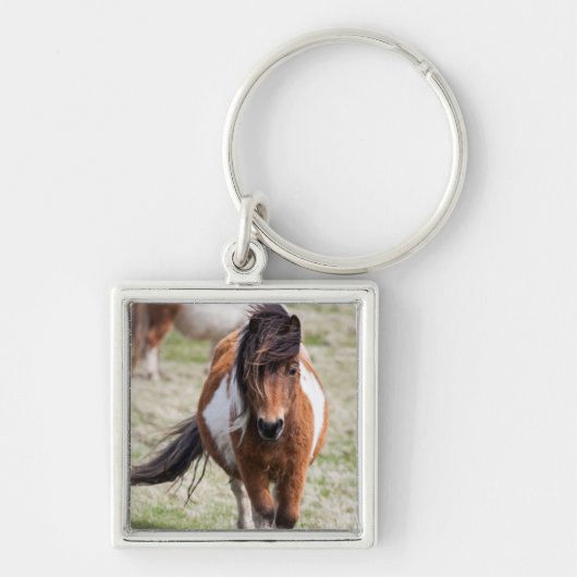 Shetland Pony, Shetlandeilanden Sleutelhanger (Voorkant)