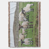 Shetland schaap deken (Voorkant Verticaal)