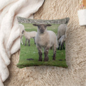 Shetland schaap kussen (Deken)