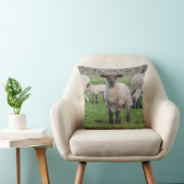 Shetland schaap kussen (Stoel)