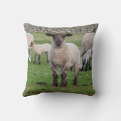 Shetland schaap kussen (Achterkant)