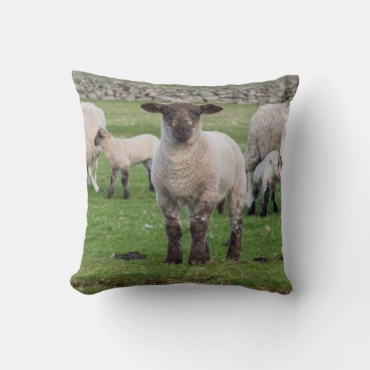 Shetland schaap kussen (Voorkant)
