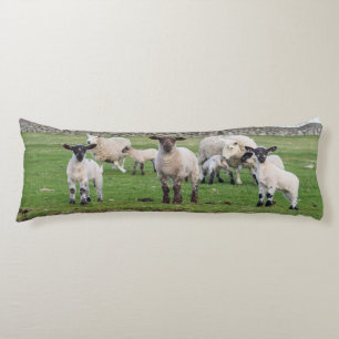 Shetland schaap lichaamskussen