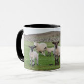 Shetland schaap mok (Voorkant links)