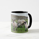 Shetland schaap mok (Voorkant rechts)