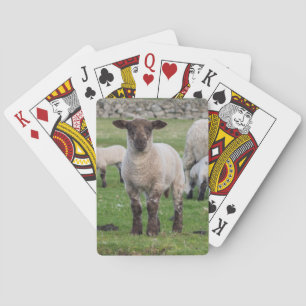 Shetland schaap speelkaarten