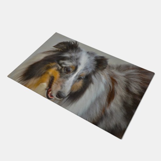Shetland Sheep Dog. Deurmat (Schuin)